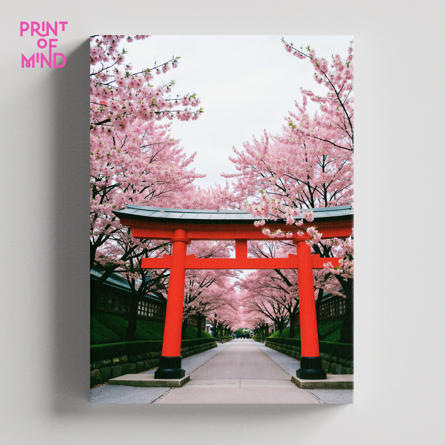 "Camino de sakura"