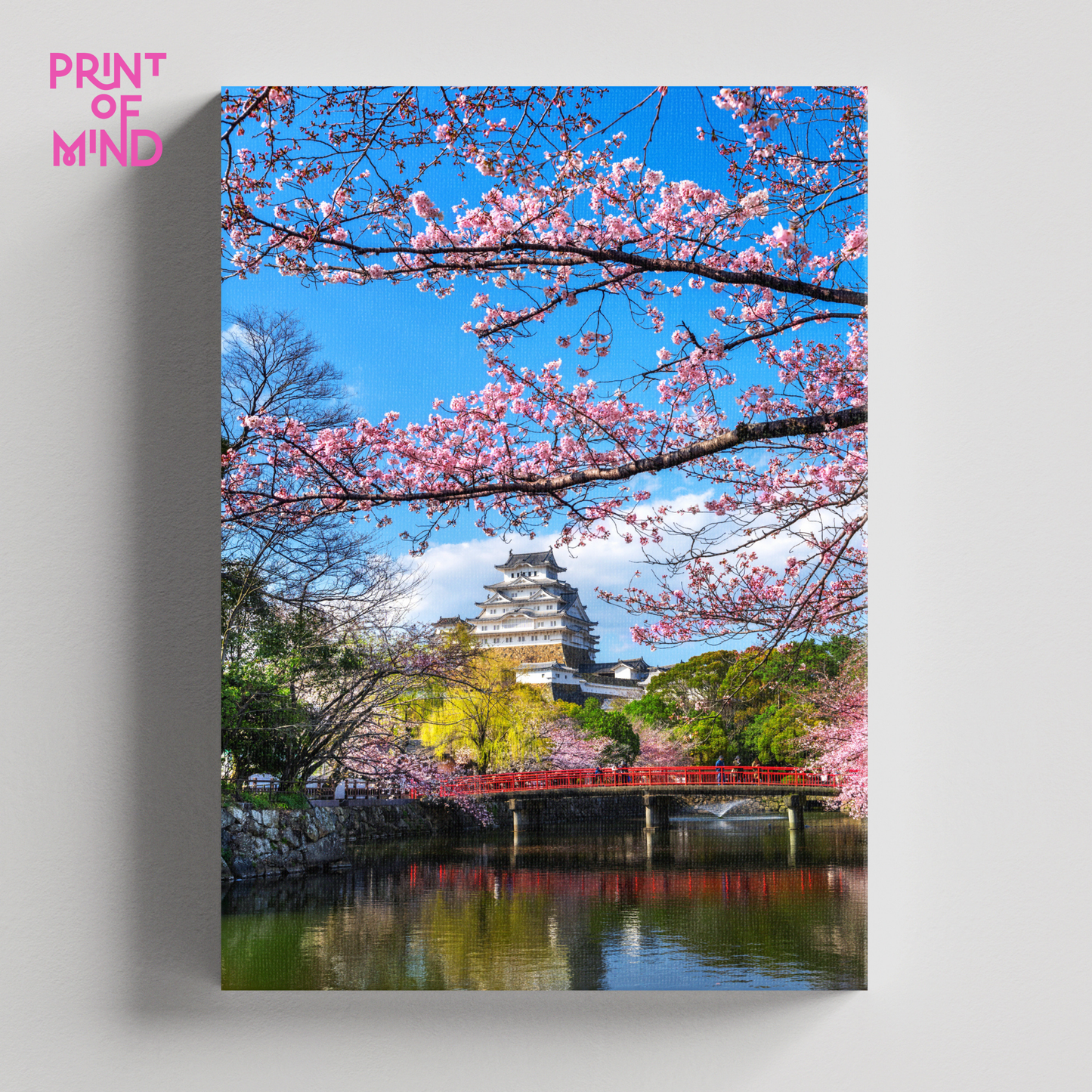 "Cerezos de himeji"