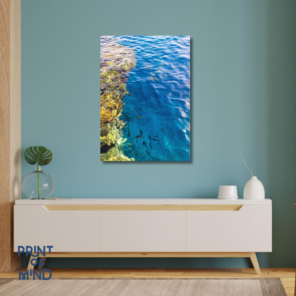 "Reflejos del arrecife"