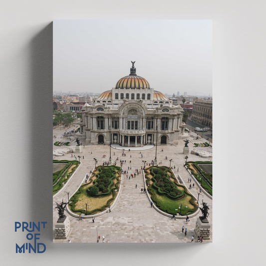"Esplendor de bellas artes"