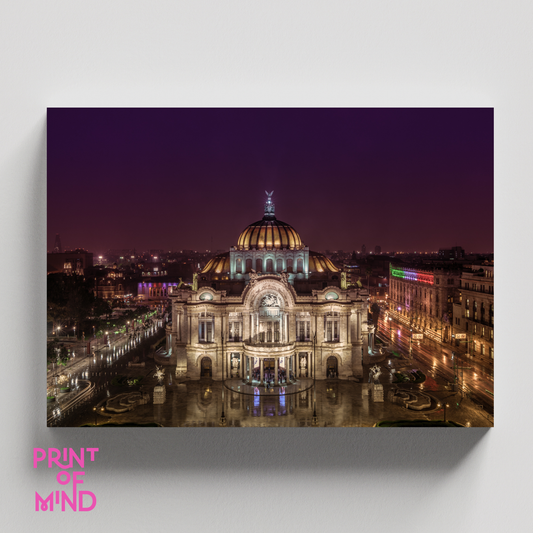 "Noches en bellas artes"