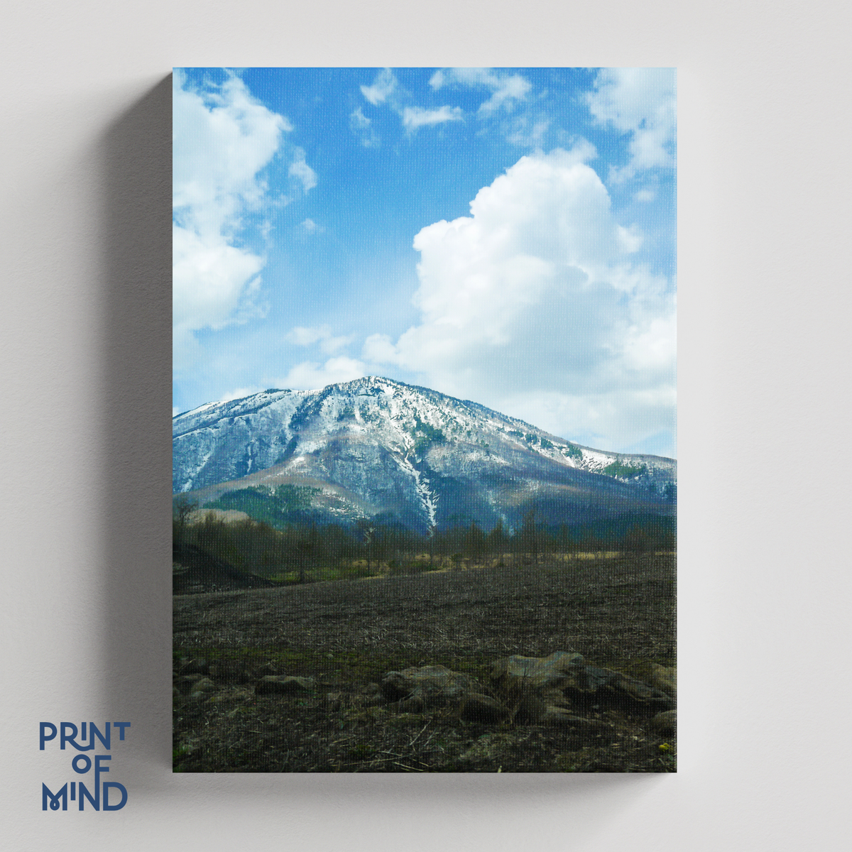 "Montaña nevada"