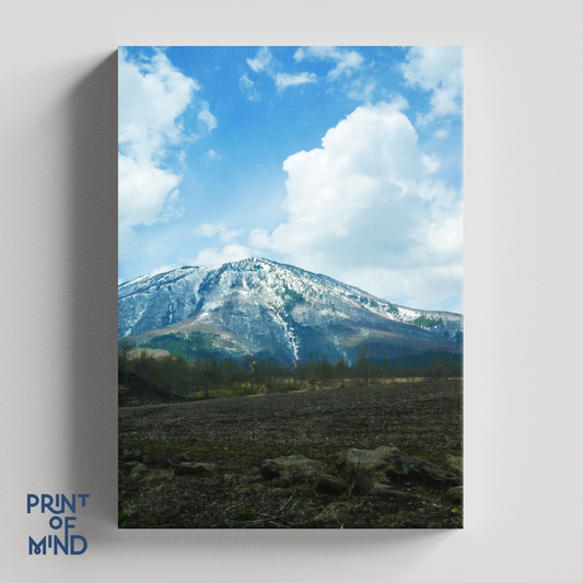 "Montaña nevada"