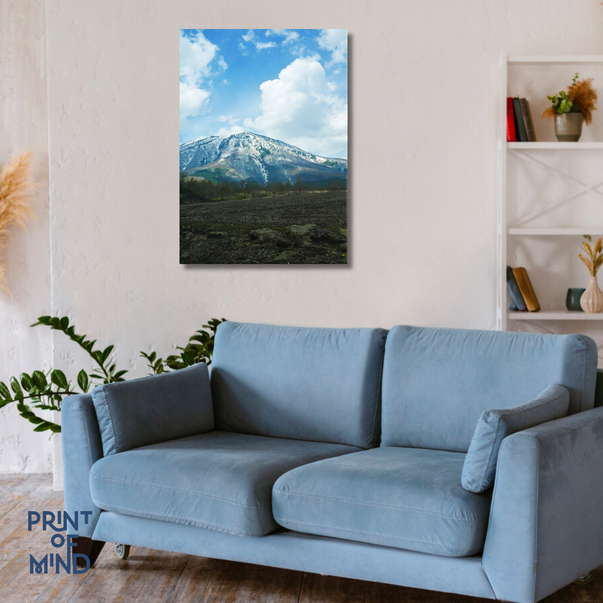 "Montaña nevada"