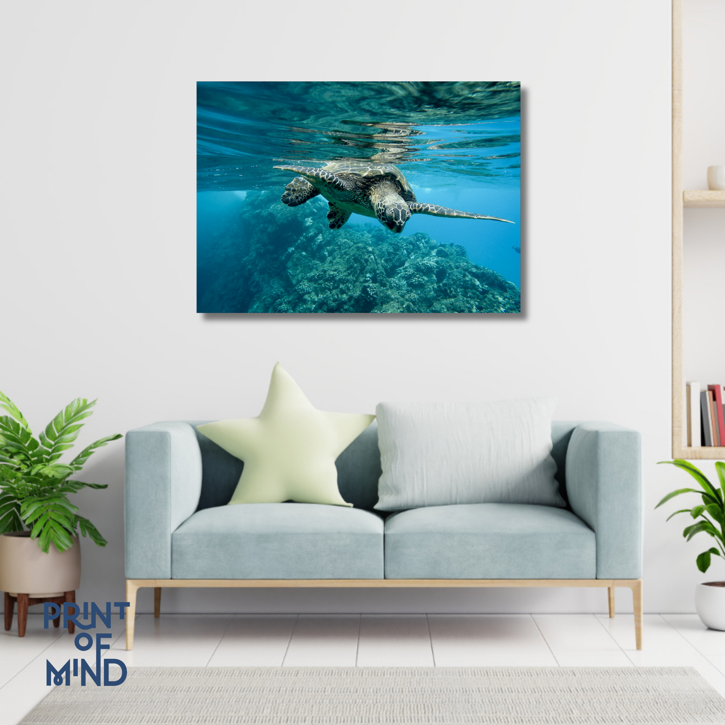 "Viaje en azul"