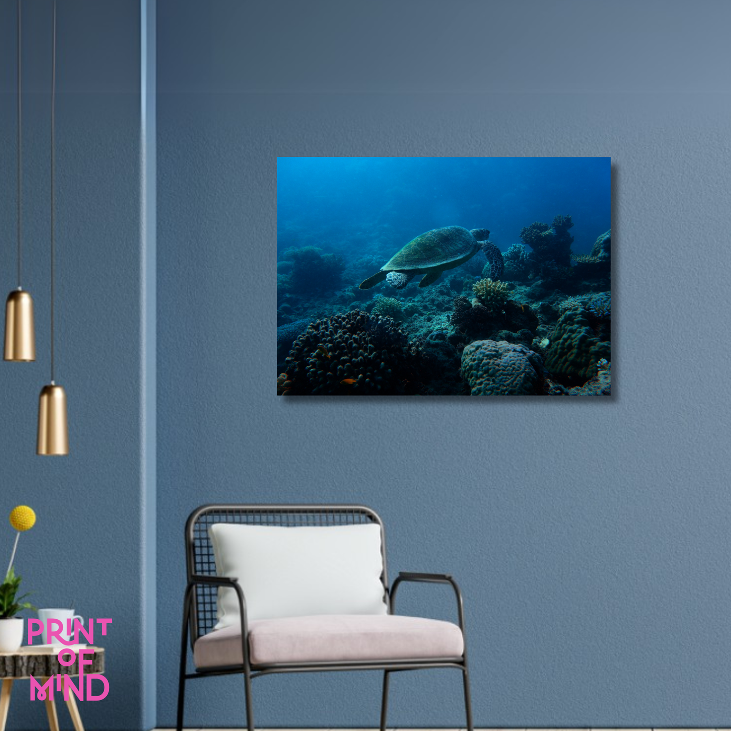 "Vida en el mar"