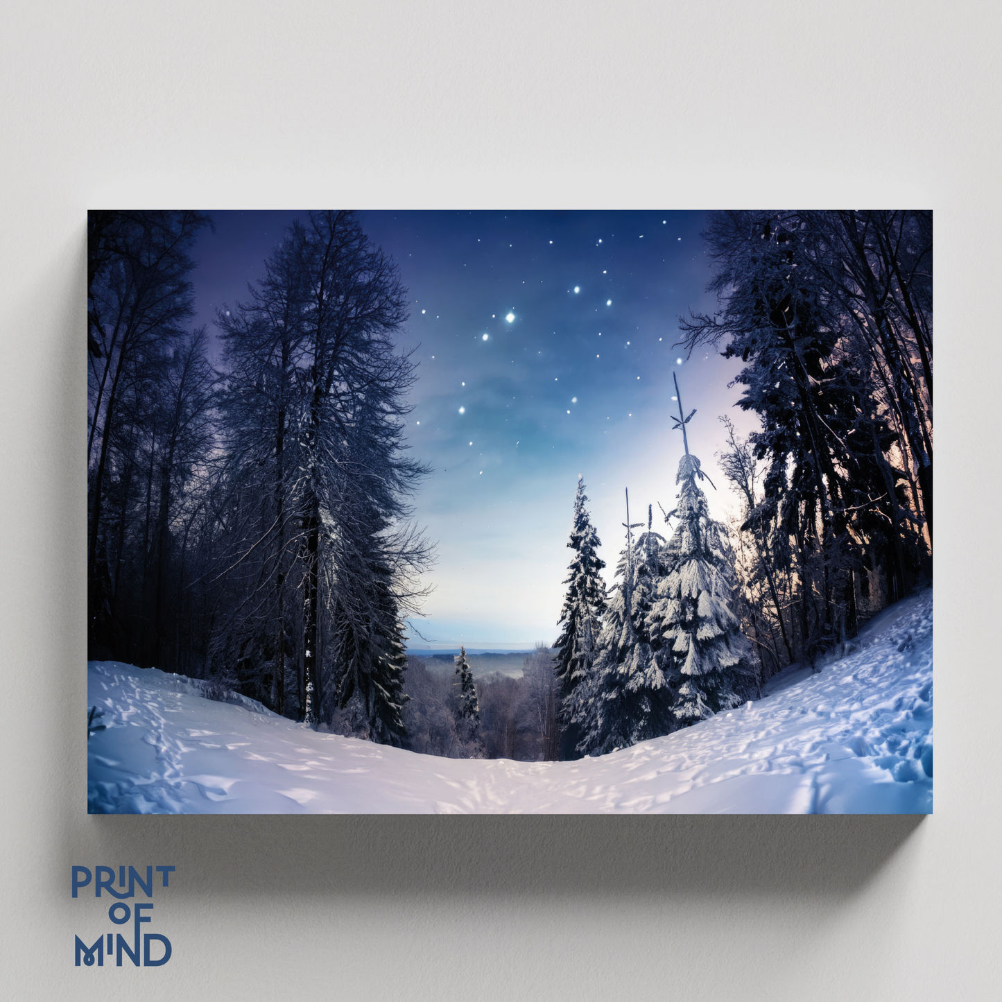 "Invierno estrellado"