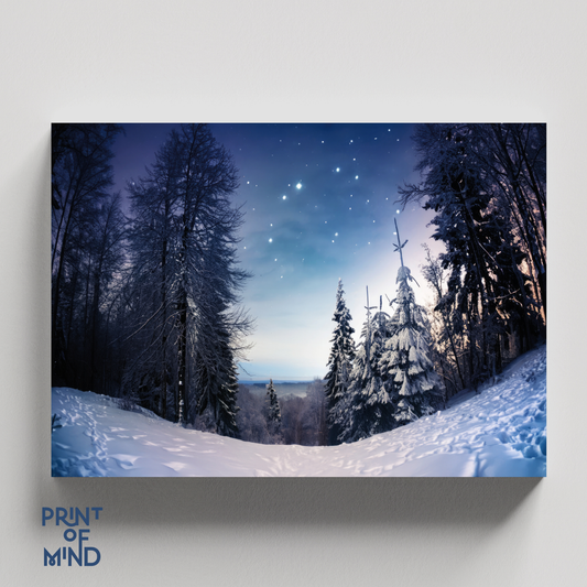 "Invierno estrellado"