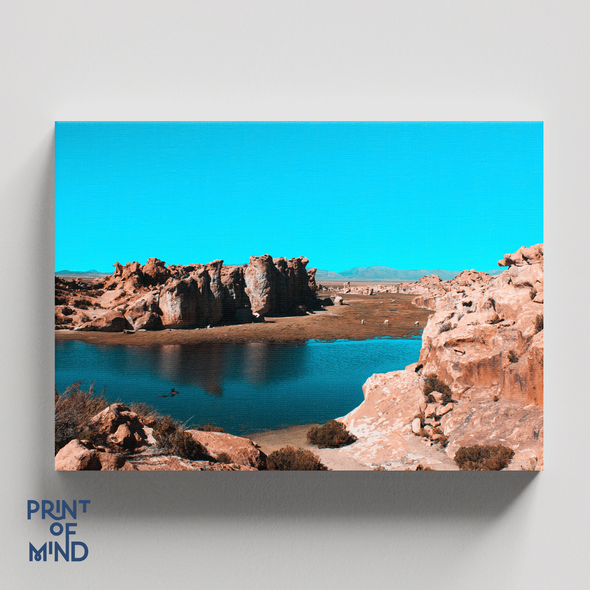 "Oasis en Atacama"
