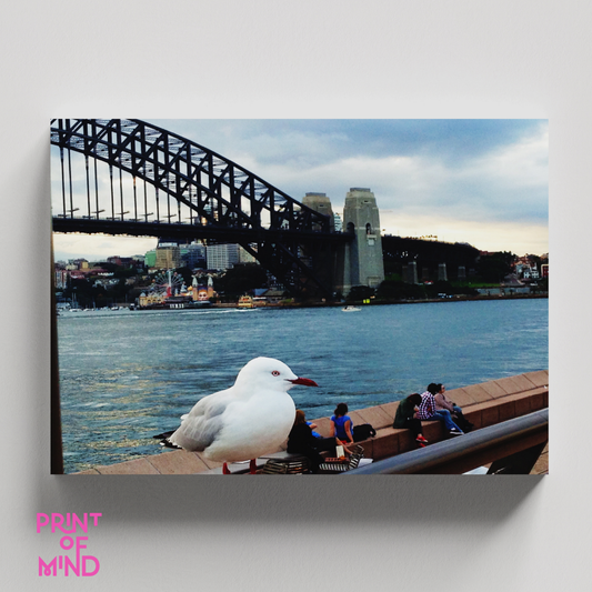 "Harbour bridge"